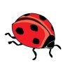 SURTIDO DE PEGATINAS COLOREADAS PARA PLACAS/RECAMBIOS PEGATINAS - 10-pegatinas - recambio-pegatinas-ladybug